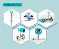 HRLS Thermal Stainless Steel Gas Mass Flow Meter DN100 High Accuracy 0.5% No Temperature/Pressure Compensation Needed for