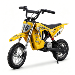 Bicicleta de Cross para Niños DK1 con Batería de Litio Integrada de 300W, 3 Velocidades, Suspensión Delantera, Frenos de Disco, 25km/h - Product Image 1