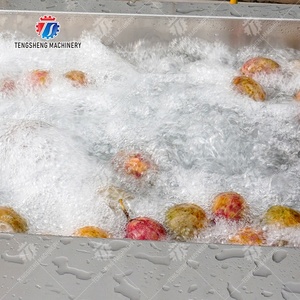 Cà Chua Máy Cà Chua Nhà Máy Cà Chua Mứt Dán Chế Biến Trái Cây Phân Loại Máy Dây Chuyền Sản Xuất Máy Giá - Product Image 2