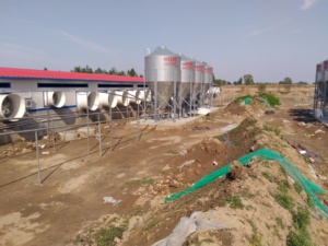 Stockage des aliments dans les grandes et moyennes exploitations - Product Image 5