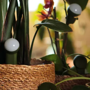 CITICITY เซ็นเซอร์วัดความชื้นในดินแบบสองหัวสำหรับพืชในบ้าน สวน สนามหญ้า ฟาร์ม เครื่องวัดความชื้นในดิน เครื่องตรวจสอบน้ำพืช ใช้งานง่าย - Product Image 6