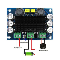Carte amplificateur numérique mono XH-M542 100W TPA3116 12-26V carte amplificateur audio numérique
