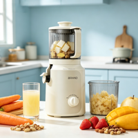 350W DC-motor elektrische slow cold press heavy-duty sapcentrifuge multifunctionele smoothie maker 2,5L RV-klar voor gebruik in campers, zelfreinigend, huishoudelijk gebruik
