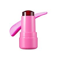 Fard à joues en stick longue tenue, haute qualité, waterproof, minéral, chimique, à base de plantes, haute pigmentation, effet rebondissant, pour peau claire, 5g
