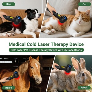 ZJZK mesin terapi Laser dingin penyembuhan 4, mesin pengobatan 4 scimiatica <span class=keywords><strong>Tinnitus</strong></span> untuk menghilangkan rasa sakit leher - Product Image 5