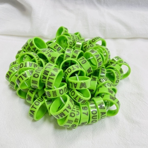 Anelli per Zampe di Piccione 14mm, Anelli Identificativi per Piccioni, Strumento di Identificazione per Volo all'Aperto, Anelli in Alluminio per Zampe - Product Image 2