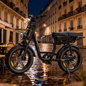 STOCK UE Meilleur prix Fatbike C28 250W Vélo électrique tout-terrain à pneus larges Vélo électrique 48V 20 pouces Frein à disque double Suspension Vélo électrique de ville - Product Image 1