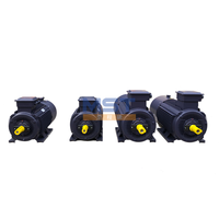 Moteur électrique asynchrone de moteur de régulation de vitesse de fréquence Variable du rendement élevé 15KW moteur synchrone à aimant Permanent