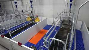 Système de caisse de mise bas moderne en acier galvanisé Rampes réglables Conception anti-écrasement Complet Automatique 20-25 ans de service Porc - Product Image 3