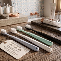 Brosses à dents jetables personnalisées pour hôtels professionnels populaires avec poils en nylon souple et poignée en plastique