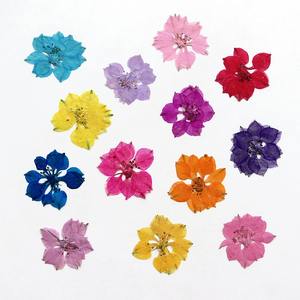 Hirondelles teintées, fleur séchée pied-de-poule fleur pressée bricolage signets en relief, étui de téléphone portable fleur séchée à la colle - Product Image 4