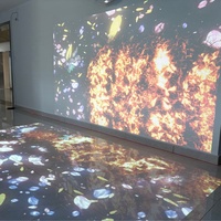 Sistema de Proyección Interactiva en el Suelo, Pantalla Publicitaria 3D, Proyector de Piso Móvil Interactivo
