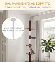 Arbre à chat de plafond à plancher écologique de haute qualité pour l'intérieur avec hamac en peluche pour chat
