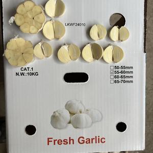 <span class=keywords><strong>Ail</strong></span> chinois personnalisé <span class=keywords><strong>ail</strong></span> blanc pur pour la vente marché <span class=keywords><strong>sud</strong></span>-africain 5.5cm - Product Image 4