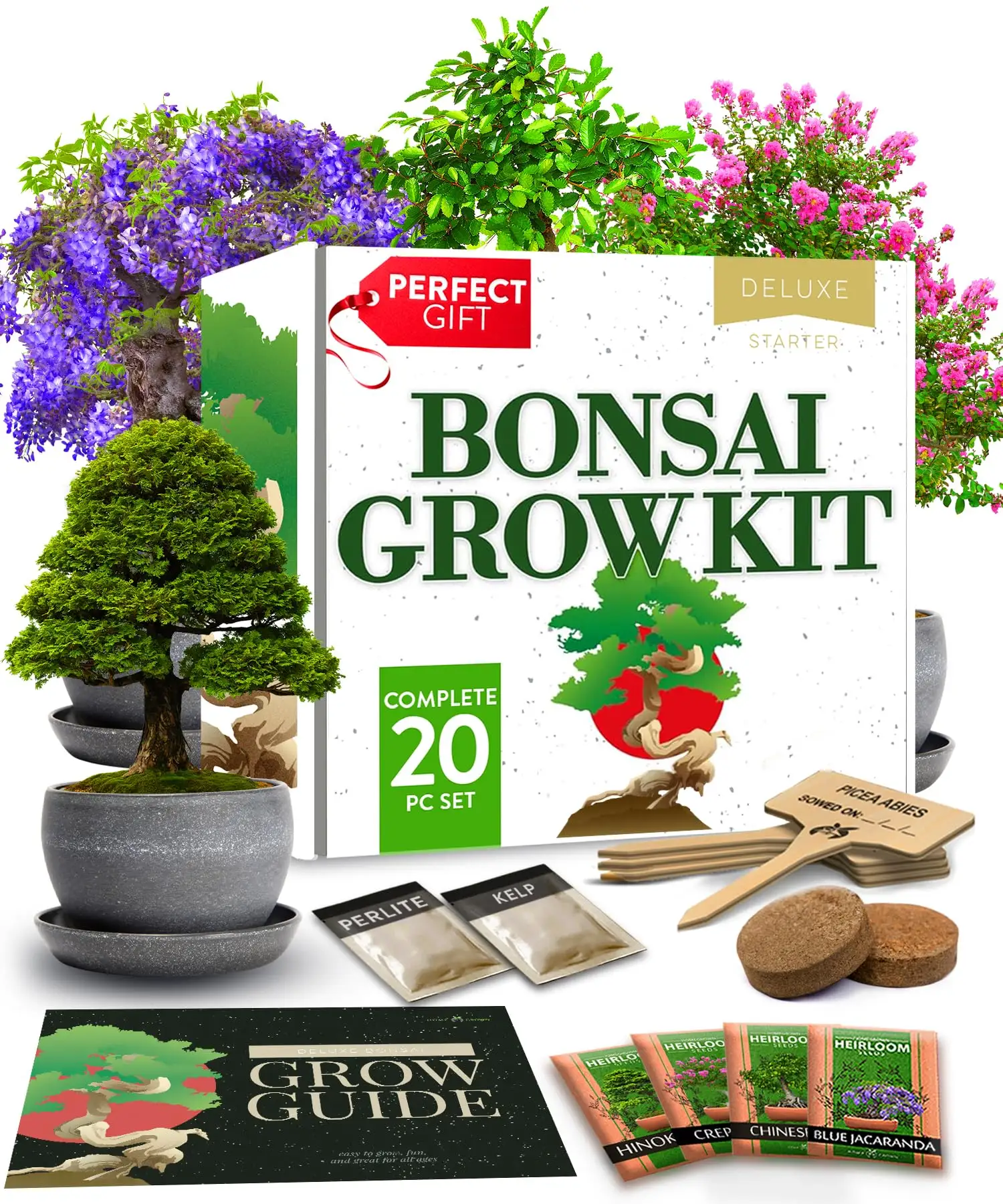 Easy to Grow 4 Species of Bonsai Tree Kit Complete Plant Kit with Bonsai Pots Peat Pellets
