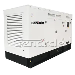 Insonorizzate avviamento Elettrico 160 kva 128 kw di energia elettrica generatore diesel silenzioso con GLI STATI UNITI motore alternatore 6CTA8.3-G1 Prezzo