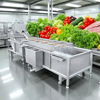 Bellenwasmachine met wervelstroomhulpwassing voor hard fruit zoals sinaasappels