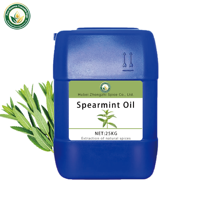 Huile Essentielle de Menthe Verte Bio 100% Pure Extrait Naturel de Plante pour Diffuseur d'Arômes Aromathérapie Relaxation Vente en Gros