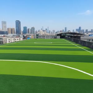 Césped Artificial para Fútbol de 25 mm |   Césped Artificial de Alta Densidad, Ecológico y Duradero para Campos Deportivos, Estadios Profesionales, Resistente a Impactos - Product Image 2