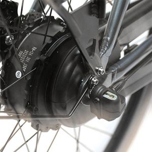 Vélo cargo électrique 36V/250W pour adultes - Product Image 4