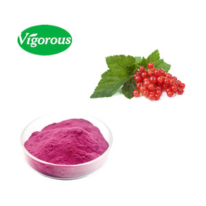 Polvo <span class=keywords><strong>de</strong></span> Bayas <span class=keywords><strong>de</strong></span> Grosella Roja Orgánica, Extracto Estandarizado <span class=keywords><strong>de</strong></span> <span class=keywords><strong>Ribes</strong></span> Rubrum - Product Image 2