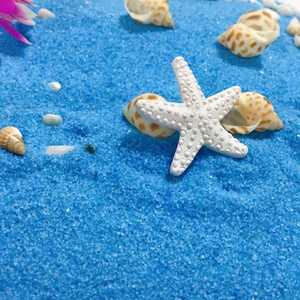 Ornement en résine étoile de mer, hippocampe, coquillage, décoration de Noël ronde à suspendre, thème océan, vente en gros - Product Image 4