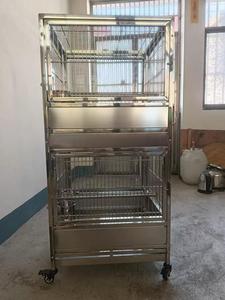 Grande <span class=keywords><strong>cage</strong></span> à oiseaux transparente de luxe en acier inoxydable avec fermeture à bouton pour perroquets, emballée en boîte - Product Image 3