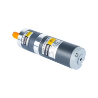 Motor DC Brush Gear Planetary Magnet Permanen 24VDC untuk Sepeda Listrik, Rumah Pintar & Penggunaan Peralatan Rumah Tangga