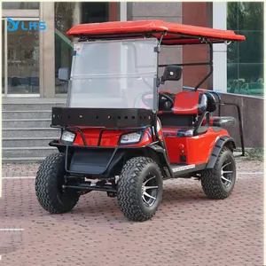 CEE aprovou 2 seater carrinho de golfe elétrico carrinho de golfe de alta performance club carro elétrico 5000w power golf em promoção