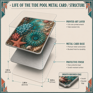 The Life of the Tide Pool Ensemble de cartes à collectionner en métal gravé de qualité supérieure pour les collectionneurs professionnels <span class=keywords><strong>et</strong></span> les amateurs de <span class=keywords><strong>nature</strong></span> - Product Image 1