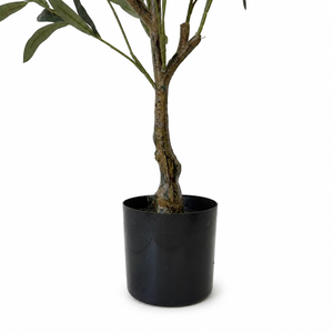 Albero di Ulivo Artificiale con Frutti 80cm, Pianta di Ulivo Finta in Vaso di Plastica per Interni, Decorazione per Casa, Soggiorno, Ufficio - Product Image 3