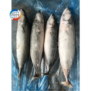 Pescado Atún Congelado IQF de 100-200g, Grado A, Venta al por Mayor de China, al Mejor Precio - Product Image 5