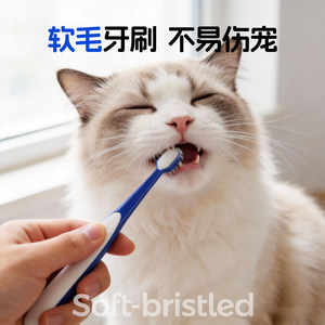 Ensemble de brosses à dents pour animaux de compagnie, adapté aux chats et aux chiens, avec une brosse à dents à 10 000 poils pour nettoyer les dents et éliminer la plaque dentaire. - Product Image 4
