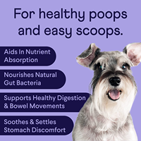 Mastics mous probiotiques de marque privée pour chiens, chats et chiens Suppléments de soulagement des articulations et de l'anxiété Suppléments de soins de santé pour animaux de compagnie
