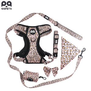 Set di Guinzaglio e Collare per Cani di Alta Qualità in Neoprene e Oxford, Regolabile, Lussuoso, Riflettente, Accessori Sportivi per Animali Domestici - Product Image 1