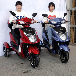 Triciclo Eléctrico <span class=keywords><strong>Trimoto</strong></span> de 800W, Carrocería Abierta, 2 Pasajeros, Carga Útil de 100-200kg - Product Image 2