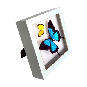 กรอบรูปตกแต่งบ้านขายส่ง กล่องเงา 3 มิติ สำหรับติดผนัง - Product Image 1