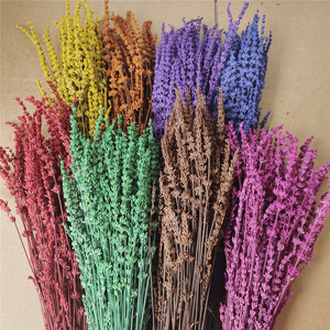 <span class=keywords><strong>Fleurs</strong></span> fraîches naturelles <span class=keywords><strong>immortelles</strong></span> conservées, bouquets de lavande sèche, fleur de lavande séchée pour bouquet de <span class=keywords><strong>fleurs</strong></span> diy, décoration d'événements pour la maison - Product Image 2