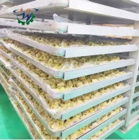 Fruit Groente Vriesdroogmachine Voor Hoge Kwaliteit Dehydratie Vacuüm Vriesdroger Apparatuur Voor Voedsel
