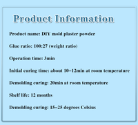 Ensemble de poudre et de liquide de coulée écologique Kit de résine de coulée à durcissement rapide pour débutants 30 minutes Démouler la poudre de plâtre activée par l'eau