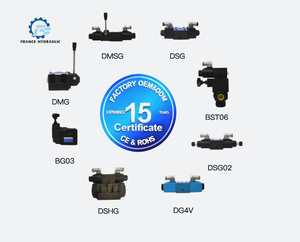 Poignée d'urgence DMSG02 DMSG03 Série DMSG, électrovanne directionnelle hydraulique certifiée CE et ROHS, poignée d'urgence DMSG02 DMSG03 DM - Product Image 1