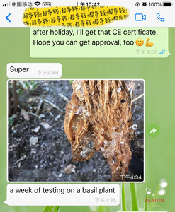 <span class=keywords><strong>Hidrogel</strong></span> de polímero Super absorbente, para agricultura - Product Image 6