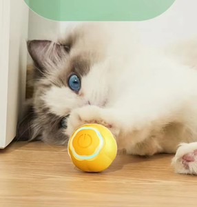 Jouet balle automatique <span class=keywords><strong>pour</strong></span> chat à la mode interactif en plastique et silicone jouets <span class=keywords><strong>pour</strong></span> animaux de compagnie <span class=keywords><strong>pour</strong></span> <span class=keywords><strong>chats</strong></span> et chiens personnalisable marque privée - Product Image 6