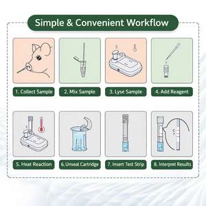 Kit de Prueba Rápida de Ácido Nucleico MTBC RPA LFA para Detección de Tuberculosis con Sensibilidad PCR y Resultado en 10 Minutos - Product Image 5