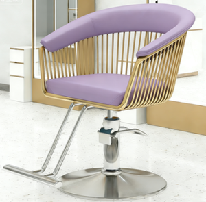 Silla de Peluquería de Metal de Alta Calidad 2026, Equipo de Salón de Belleza al por Mayor para Aplicaciones en Salones de Belleza para Mujeres - Product Image 1