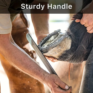 Râpe à sabots noire pour équitation, outil de ferrer pour la réparation des sabots de cheval - Product Image 4