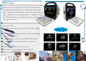 P50Vet Prix le plus compétitif Machine vétérinaire à ultrasons Doppler couleur pour animaux de compagnie <span class=keywords><strong>et</strong></span> grands animaux <span class=keywords><strong>comme</strong></span> les <span class=keywords><strong>chiens</strong></span>, les <span class=keywords><strong>chats</strong></span>, les bovins, les porcs - Product Image 3