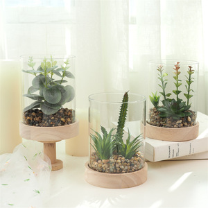 Artificial Succulent Plant Set In Glass Cylinder Wooden Base Decorative Greenery Craft <b>Ornament</b> - Product Image 5