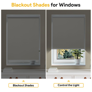 High Quality Customized Factory Direct Best Price Smart Control Motorized Roller Shade Blind - Product Image 2