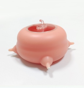 ชามซิลิโคนจุกนมสำหรับลูกแมวทารกแรก<span class=keywords><strong>เกิด</strong></span>ดื่ม<span class=keywords><strong>นม</strong></span>ซิลิโคน4อันสำหรับลูกสุนัข - Product Image 6